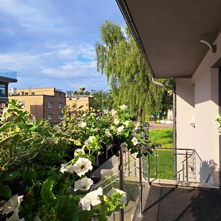 Domek W Parku Hel Dış mekan fotoğraf