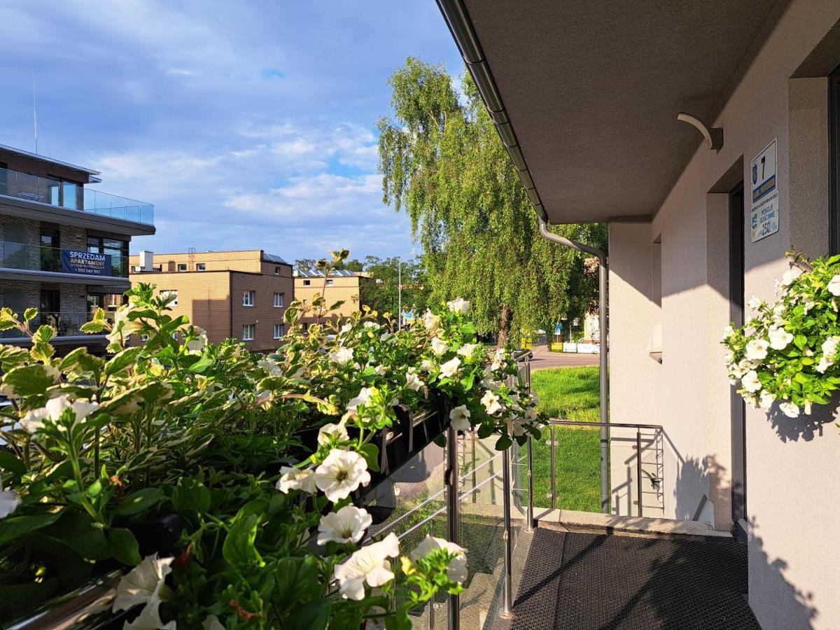Domek W Parku Hel Dış mekan fotoğraf